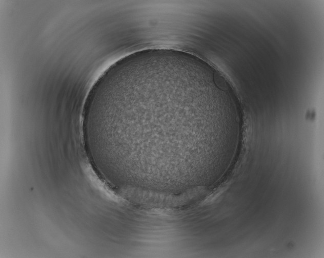 X0000113230932200909241519