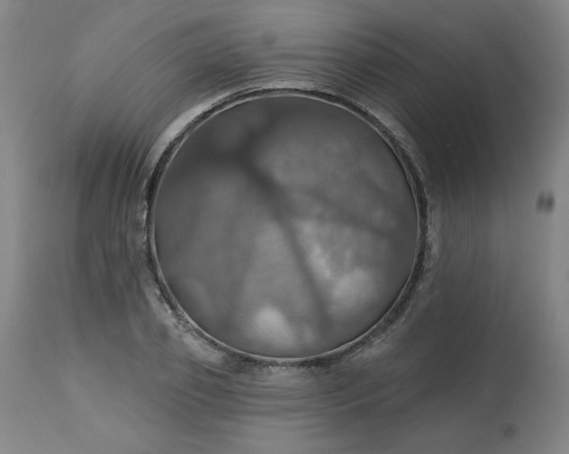 X0000113230933200909241519