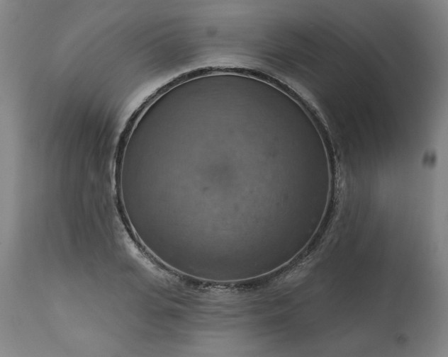 X0000113230935200909241519