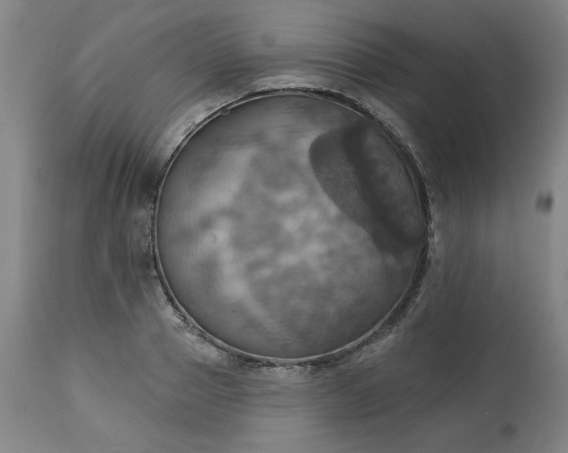 X0000113230937200909241519