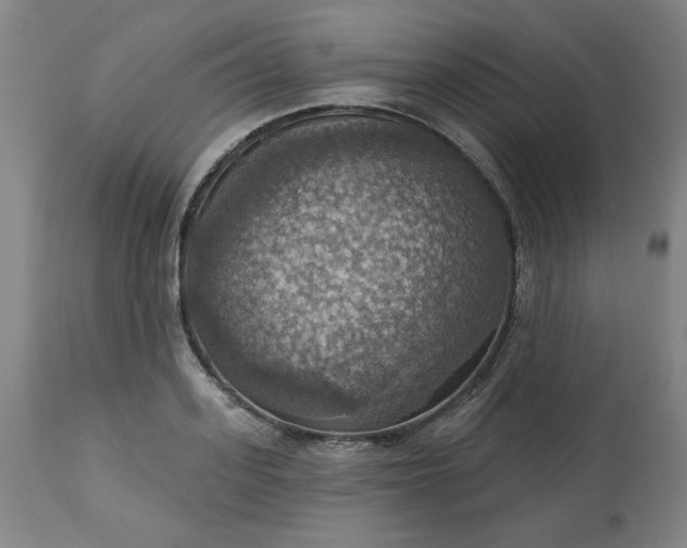 X0000113230939200909241519