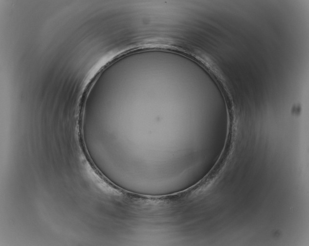 X0000113230941200909241519