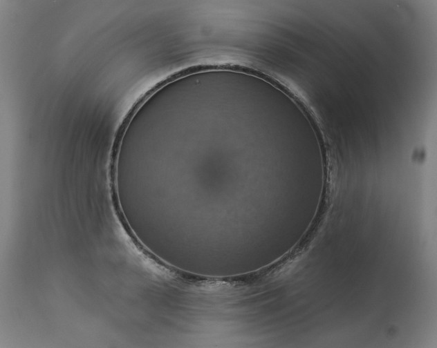 X0000113230943200909241519