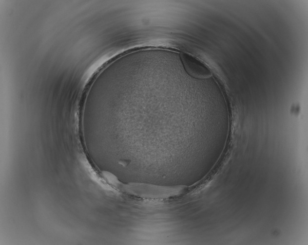 X0000113230944200909241519