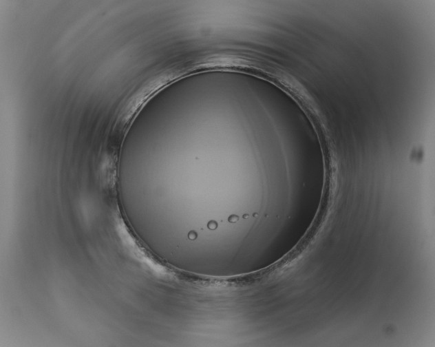 X0000113230945200909241519