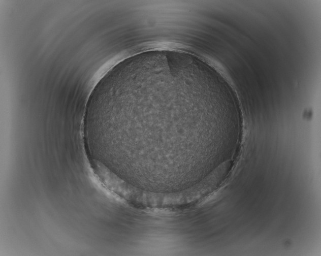 X0000113230946200909241519