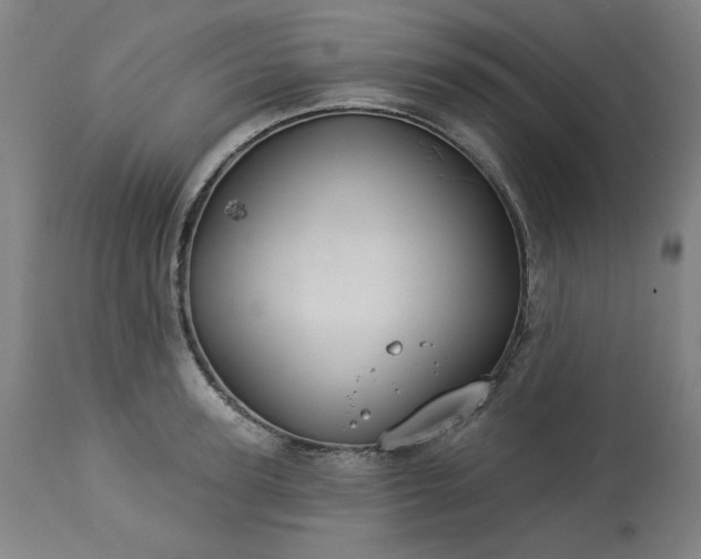 X0000113230947200909241519