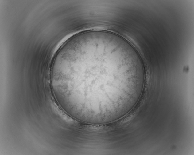 X0000113230948200909241519