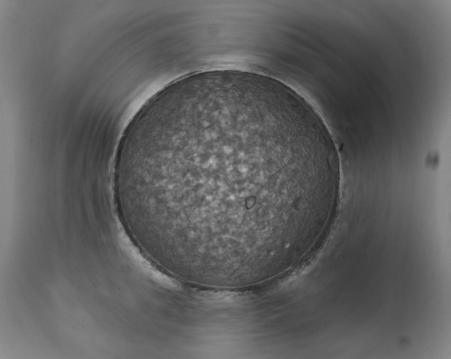 X0000113230949200909241519