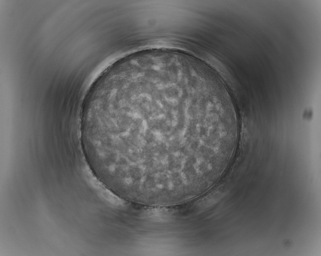 X0000113230950200909241519