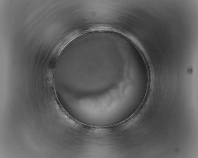 X0000113230953200909241519