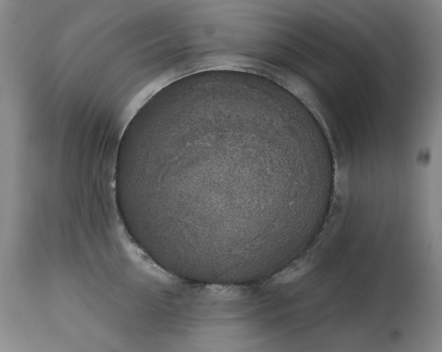 X0000113230954200909241519