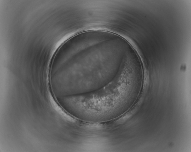 X0000113230957200909241520