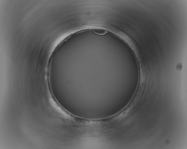 X0000113230958200909241520