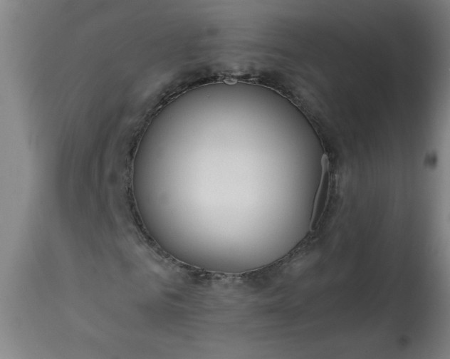 X0000113230961200909241519