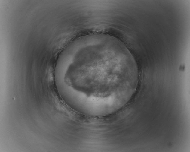 X0000113230962200909241519