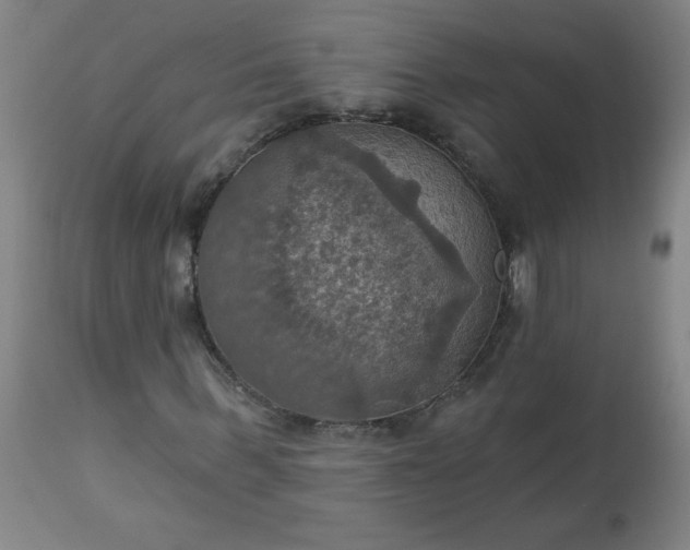 X0000113230963200909241519