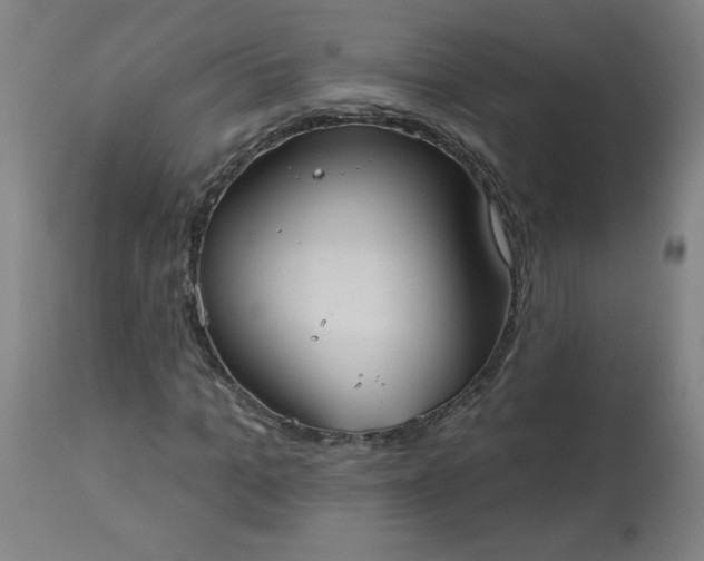 X0000113230965200909241518