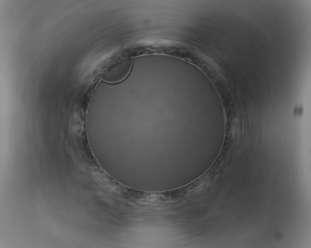 X0000113230966200909241518