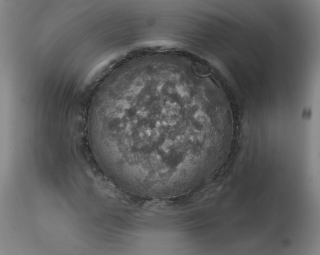 X0000113230967200909241518