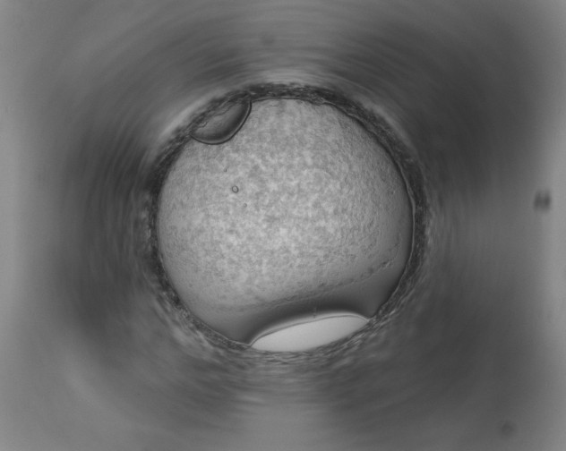 X0000113230968200909241518