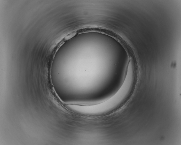 X0000113230969200909241518