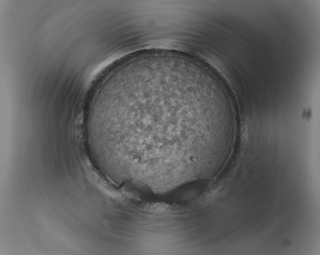 X0000113230971200909241518