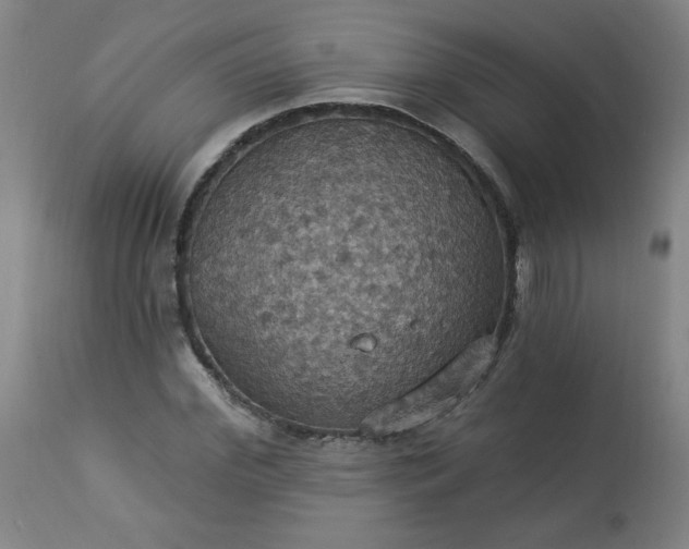 X0000113230972200909241518