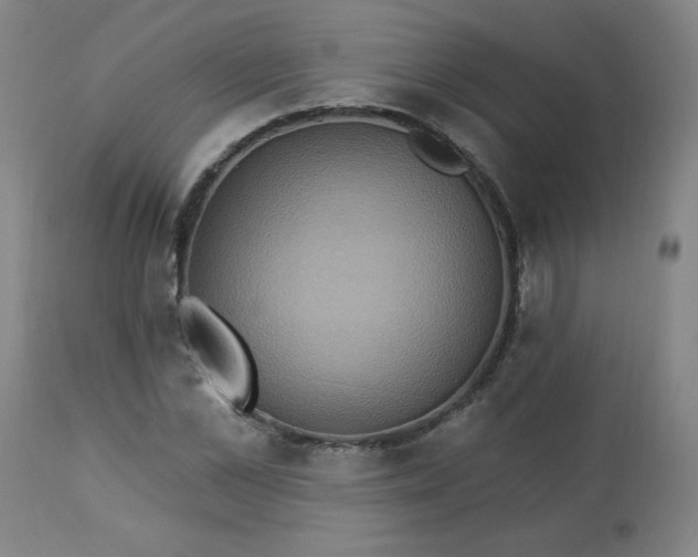 X0000113230973200909241518