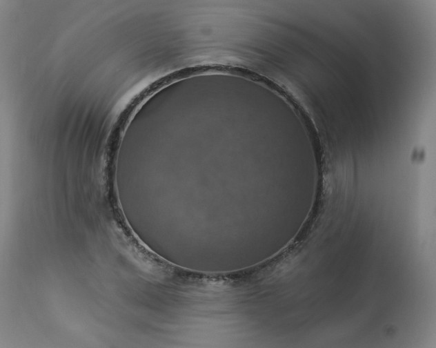 X0000113230975200909241518