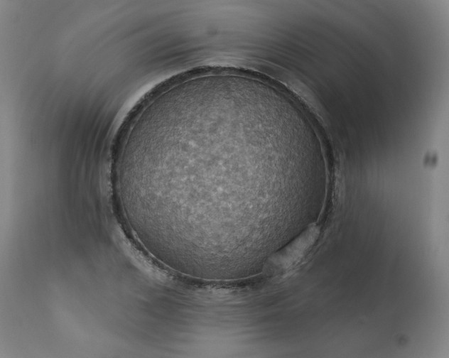 X0000113230976200909241518