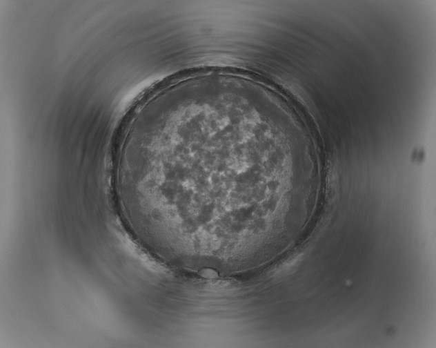 X0000113230979200909241518