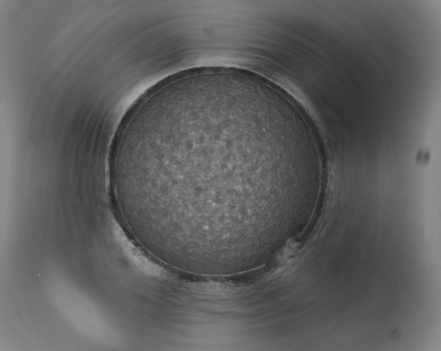 X0000113230980200909241518