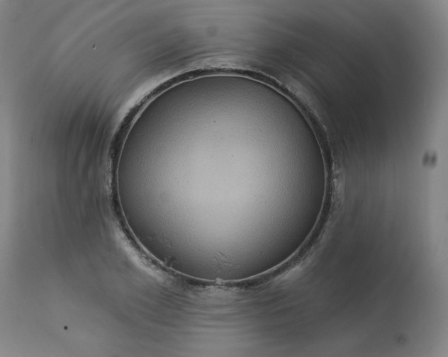 X0000113230981200909241518