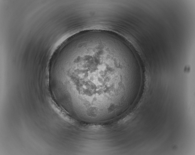 X0000113230982200909241518