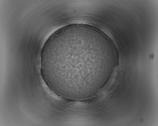 X0000113230984200909241518