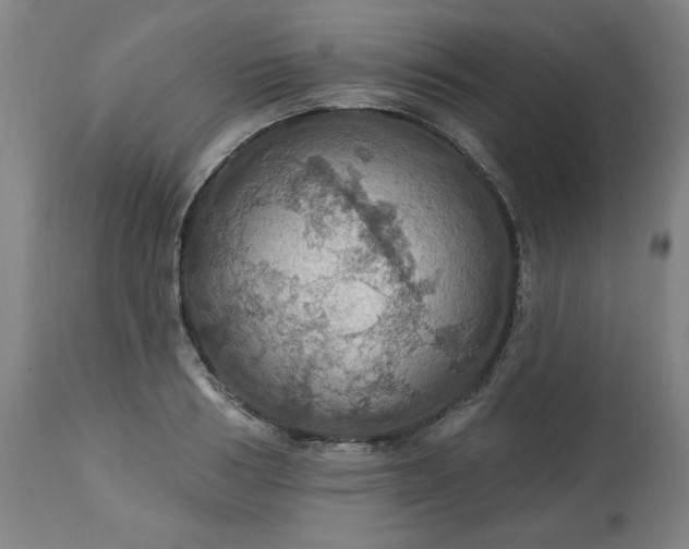 X0000113230986200909241518