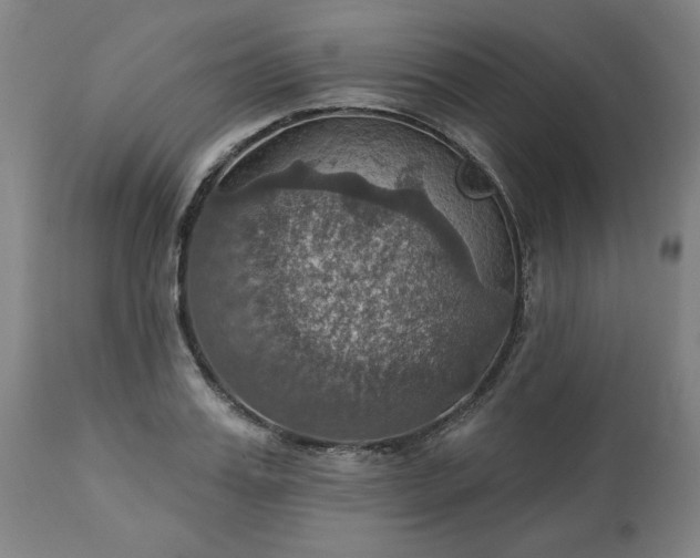 X0000113230987200909241518