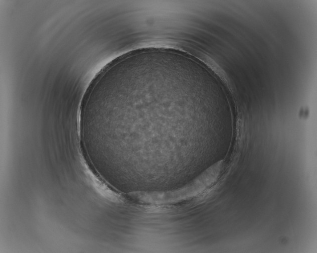 X0000113230988200909241518