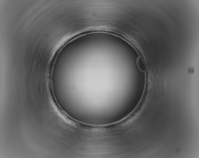 X0000113230989200909241518