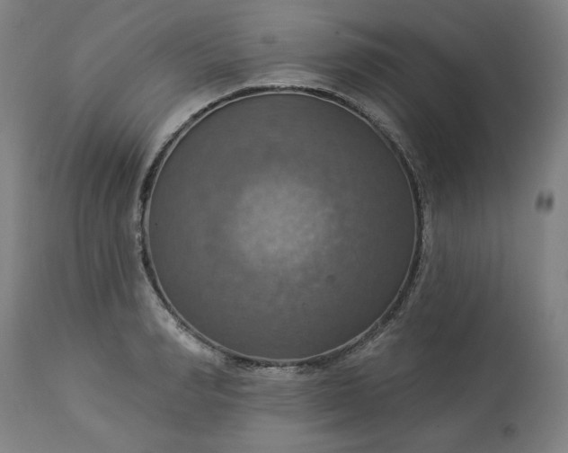 X0000113230990200909241518