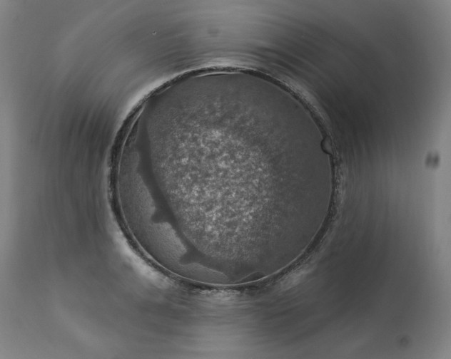 X0000113230991200909241518