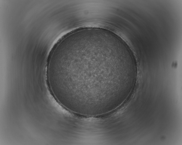 X0000113230992200909241518