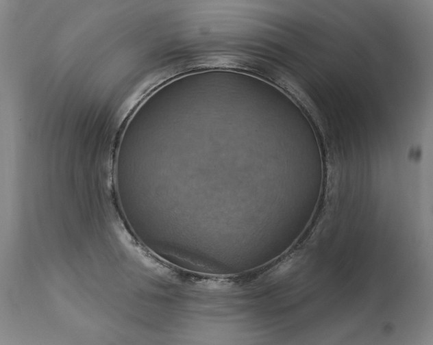 X0000113230994200909241518