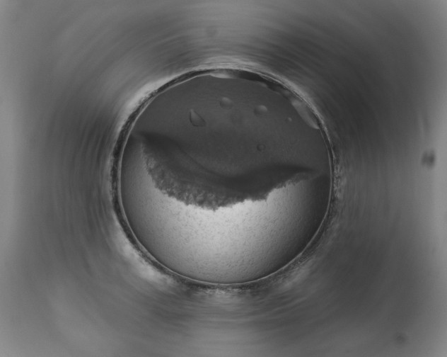 X0000113230995200909241518