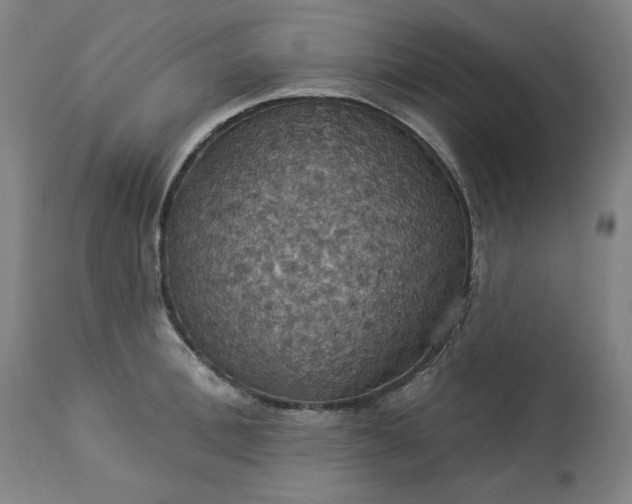 X0000113230996200909241518