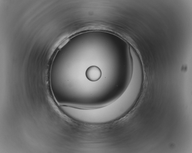 X0000113230997200909241518