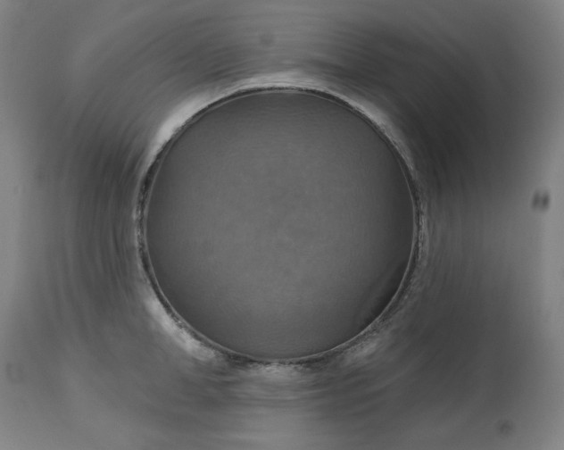 X0000113230998200909241518