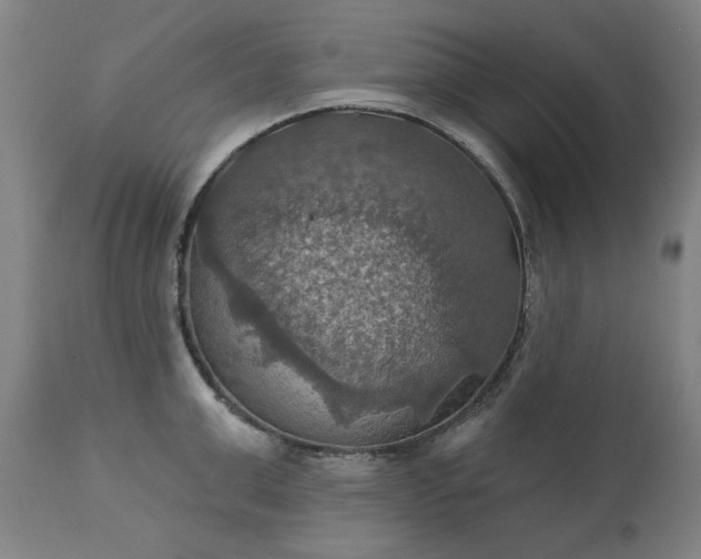 X0000113230999200909241518