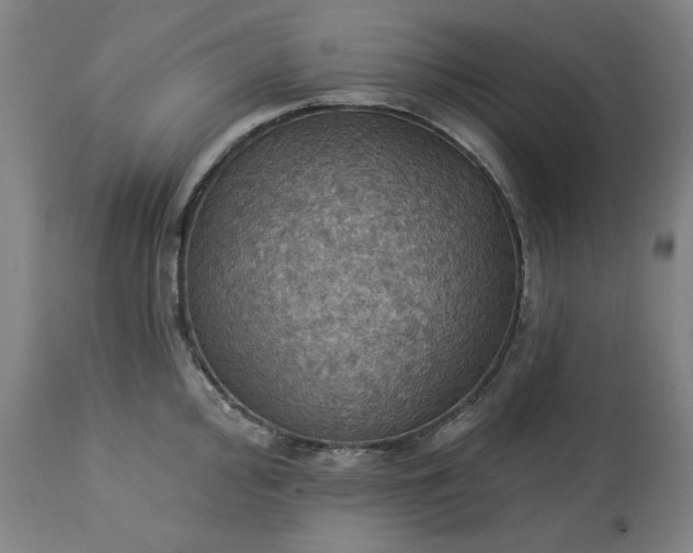 X0000113231000200909241518